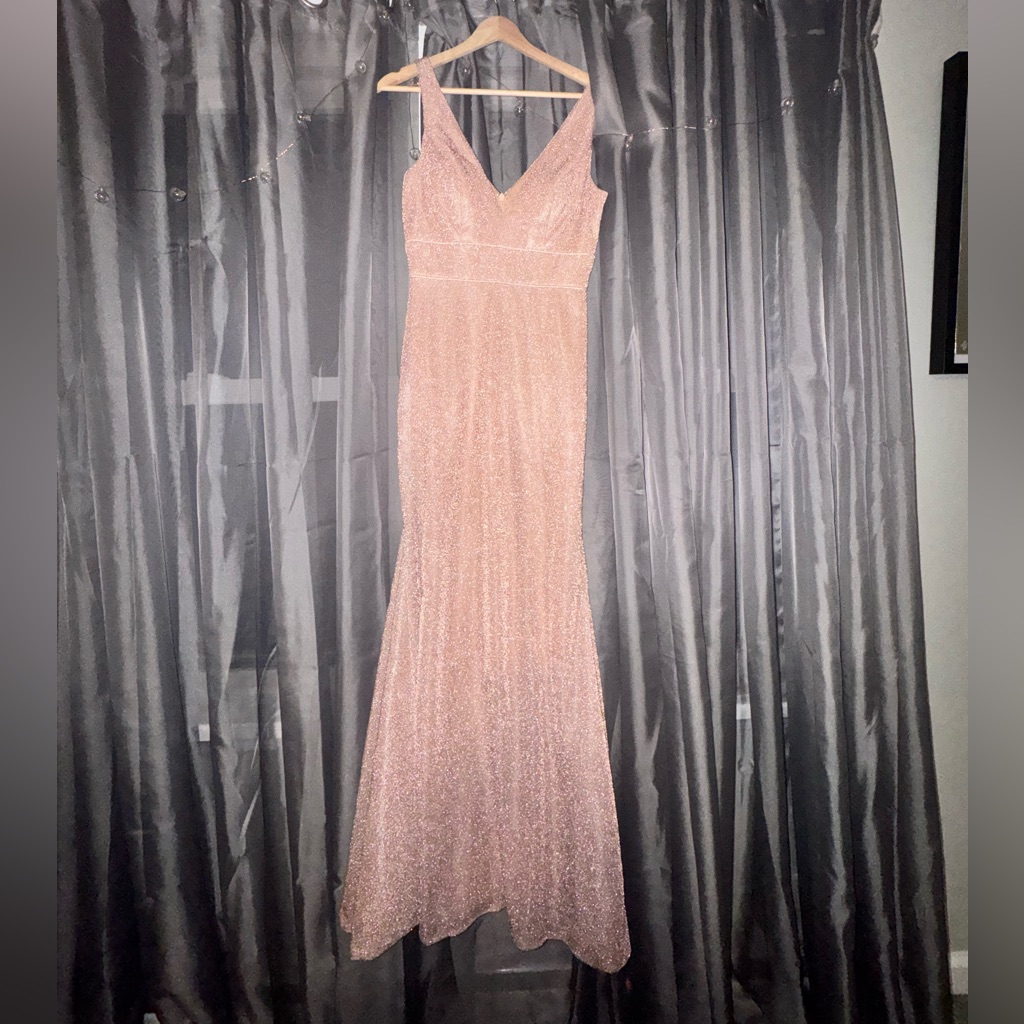 Sparkly Beautiful Gown